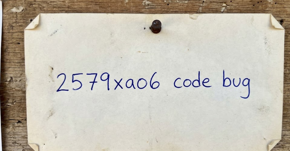 2579xao6 Code Bug: Complete Guide to Fixes, Python Usage, and Software Basics