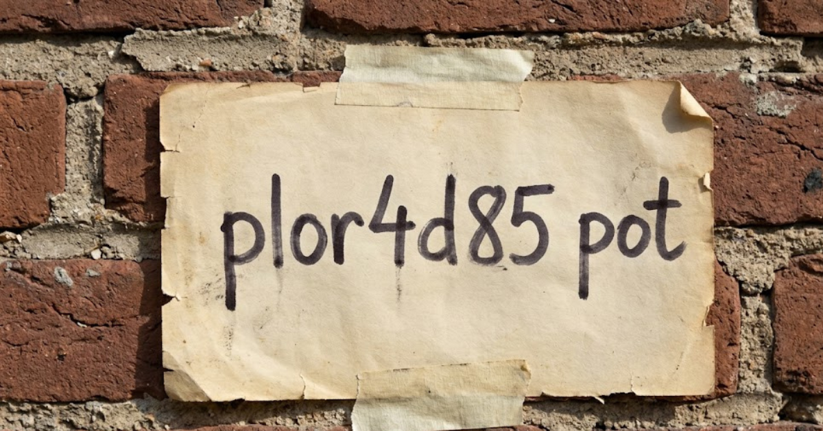 Plor4d85 Pot: What It Is and Why People Search for It